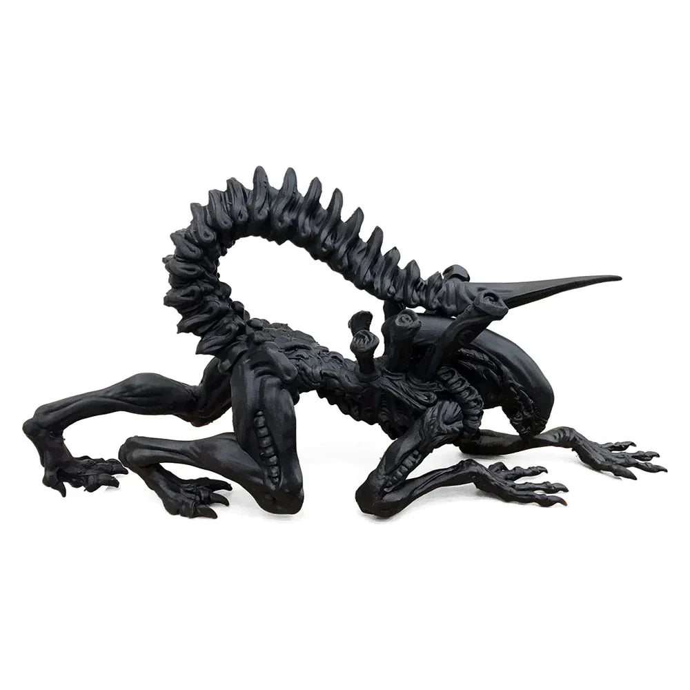 Phrozen - Water-Washable Resin - Rapid Black - 1 kg