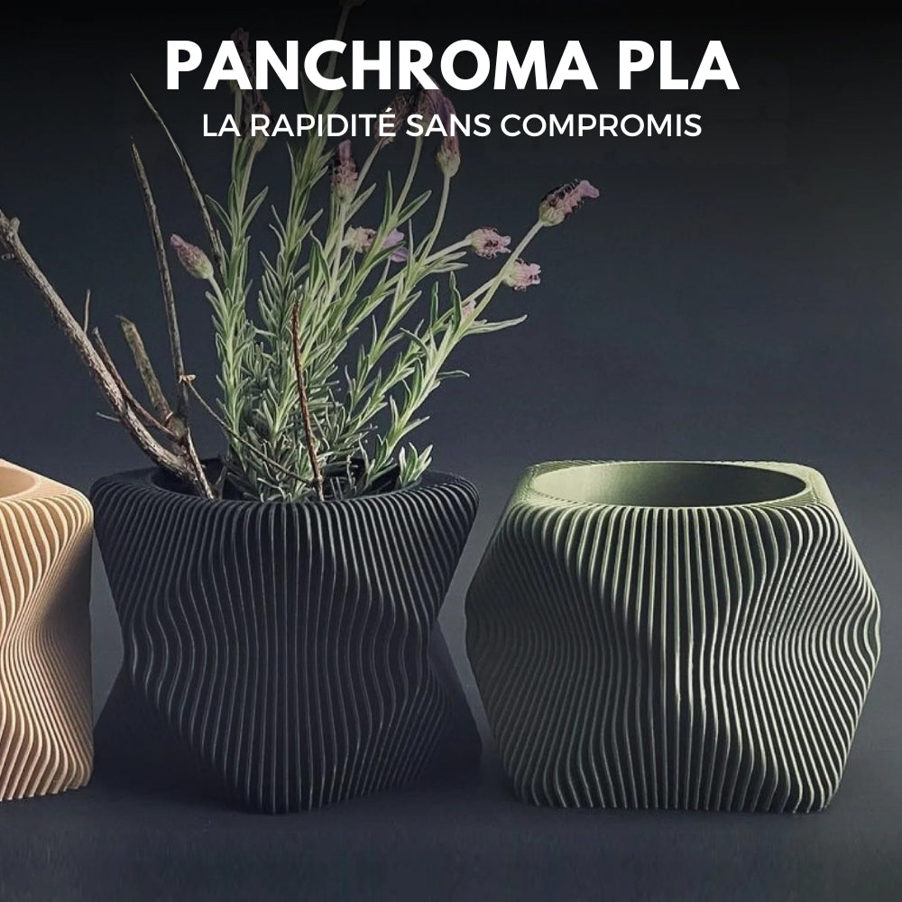 Panchroma Basic PLA - Vert Olive Foncé (Dark Olive Drab) - 1,75 mm - 1 kg