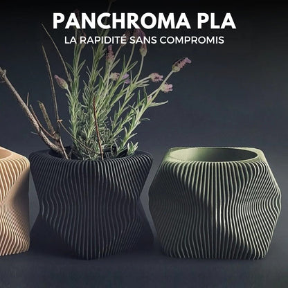 Panchroma Basic PLA - Vert Olive Foncé (Dark Olive Drab) - 1,75 mm - 1 kg