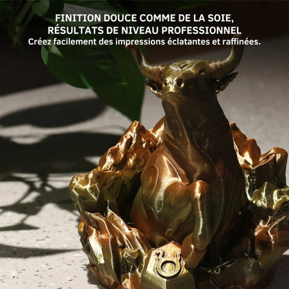 Panchroma PLA Dégradé - Soie Terre (Gradient Silk Earth) - 1,75 mm - 1 kg