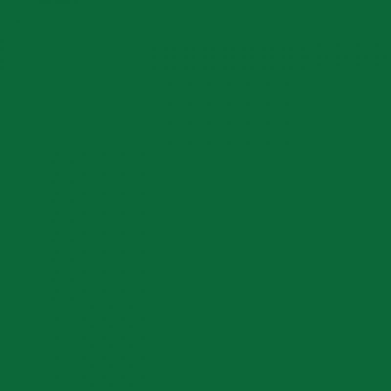 Chemica - Rouleau de Thermocollant de Hotmark Revolution - Vert Clair (Light Green) -  30 cm x 5 m