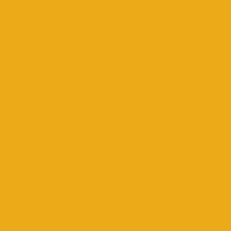 Chemica - Rouleau de Thermocollant de Hotmark Revolution - Jaune Moutarde (Mustard) -  30 cm x 5 m